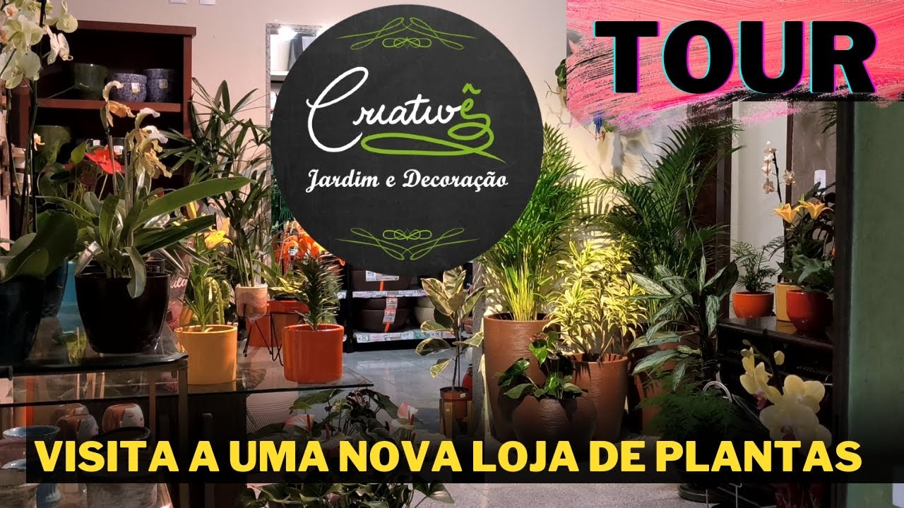 tour vocês precisam conhecer essa loja  plantas lindas - decoração - artesanato e muito mais - tour