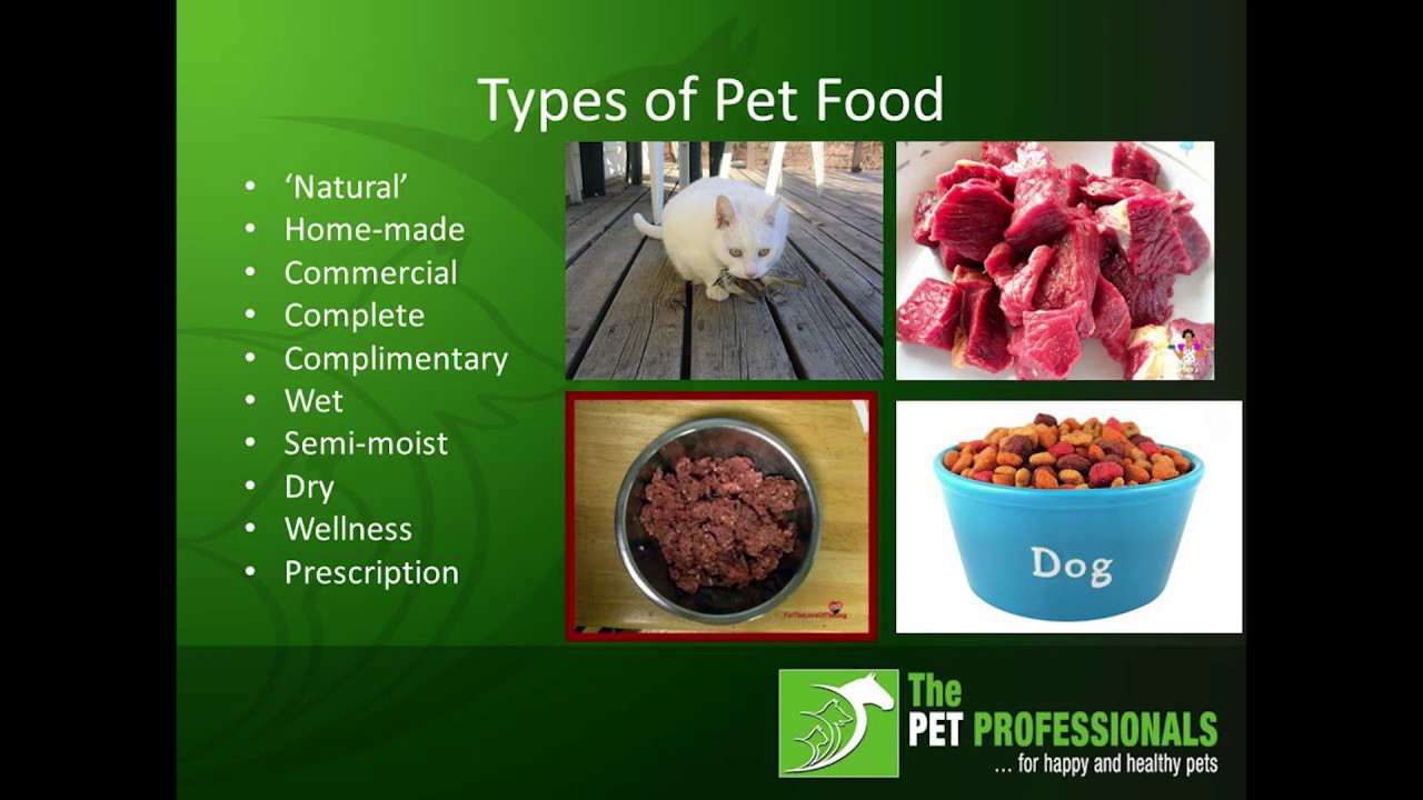 Understanding Canine Nutrition
