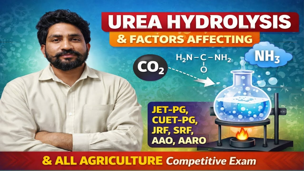 Urea hydrolysis| factor affecting of Urea hydrolysis |Nitrogenous fertilizer 