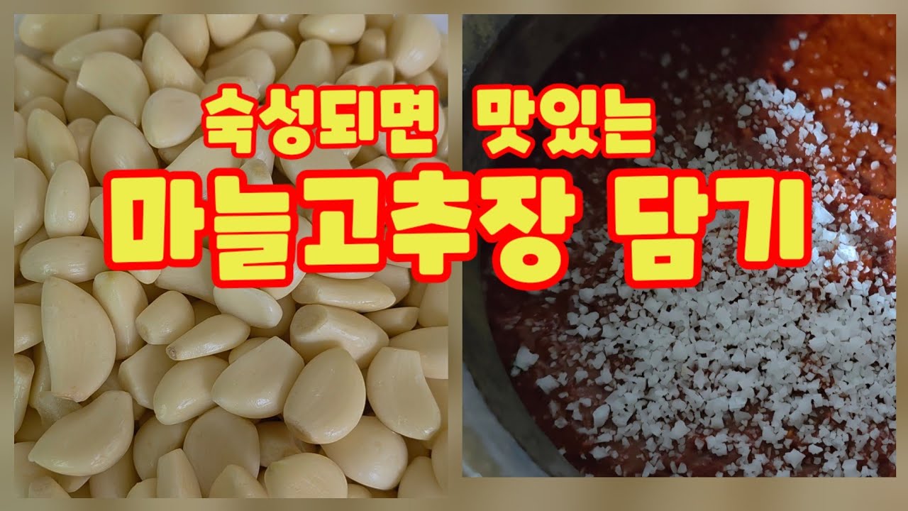 마늘고추장 만들기 숙성되면 더~ 맛있는 마늘고추장  괴산청결고추 오가농원  [마늘고추장만드는방법]