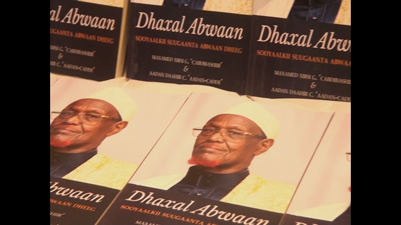MAANSOOYINKA BUUGA ABWAAN DHEEG MAXAY KA HADLAYAAN?