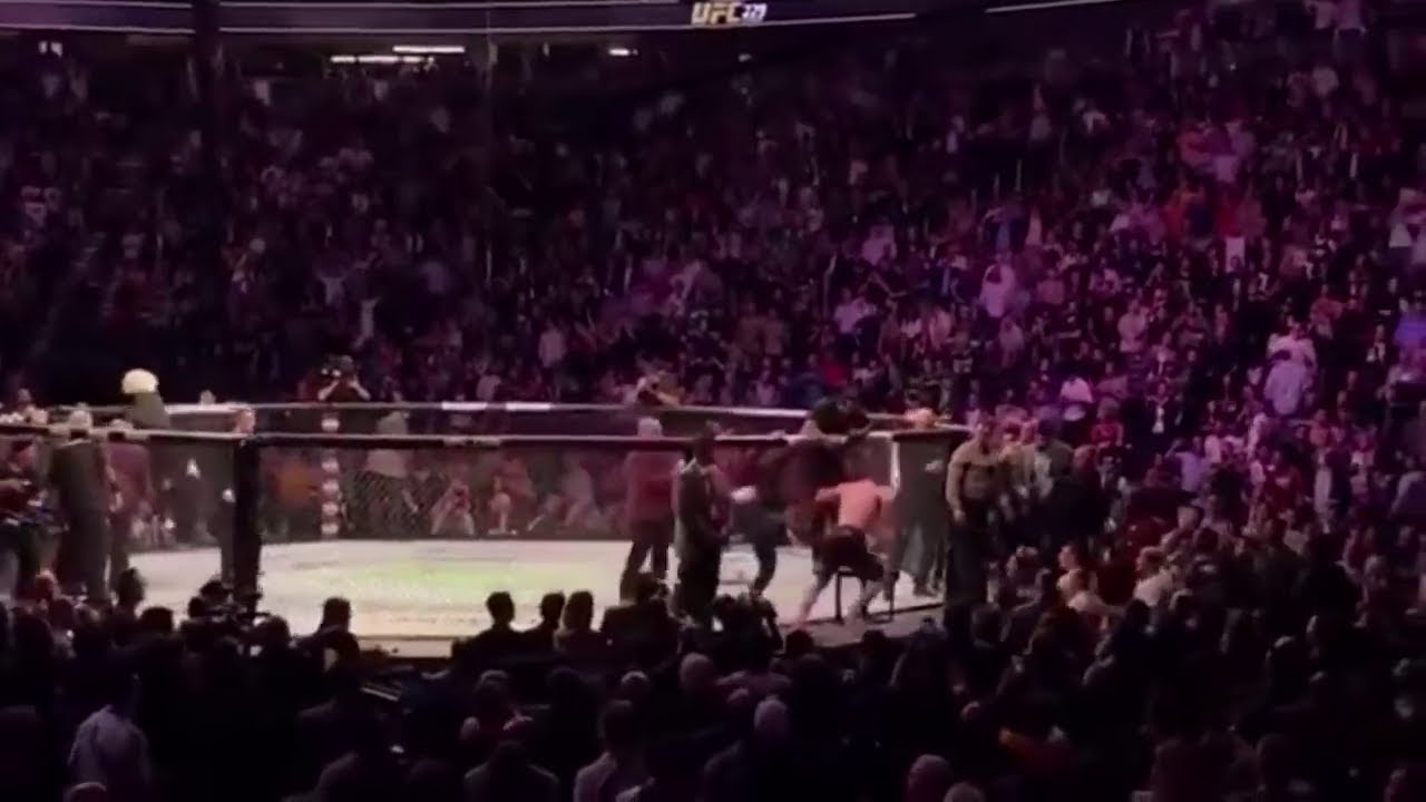 UFC 229 -  McGregor x Khabib Treta geral  ap&oacute;s a luta