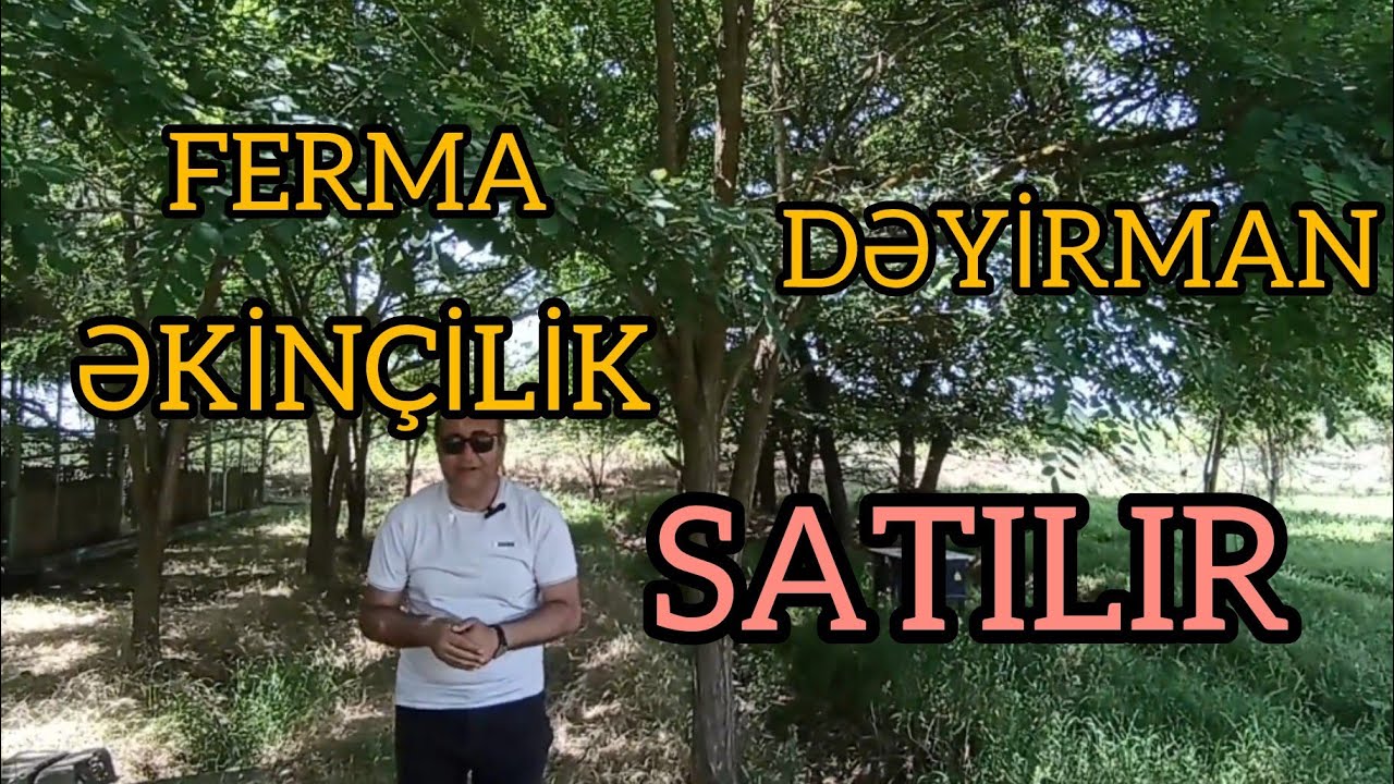 FERMA+KƏND TƏSƏRRÜFATI OBYEKT 790.000 SAATLIDA ☎️070 858 31 44 RƏVAN