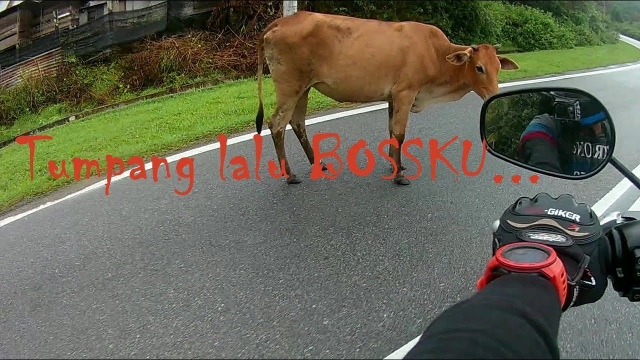 Country ride Senaling - Pilah through Seri Menanti Part 3 (Soundtrack Alip Ba Ta !)