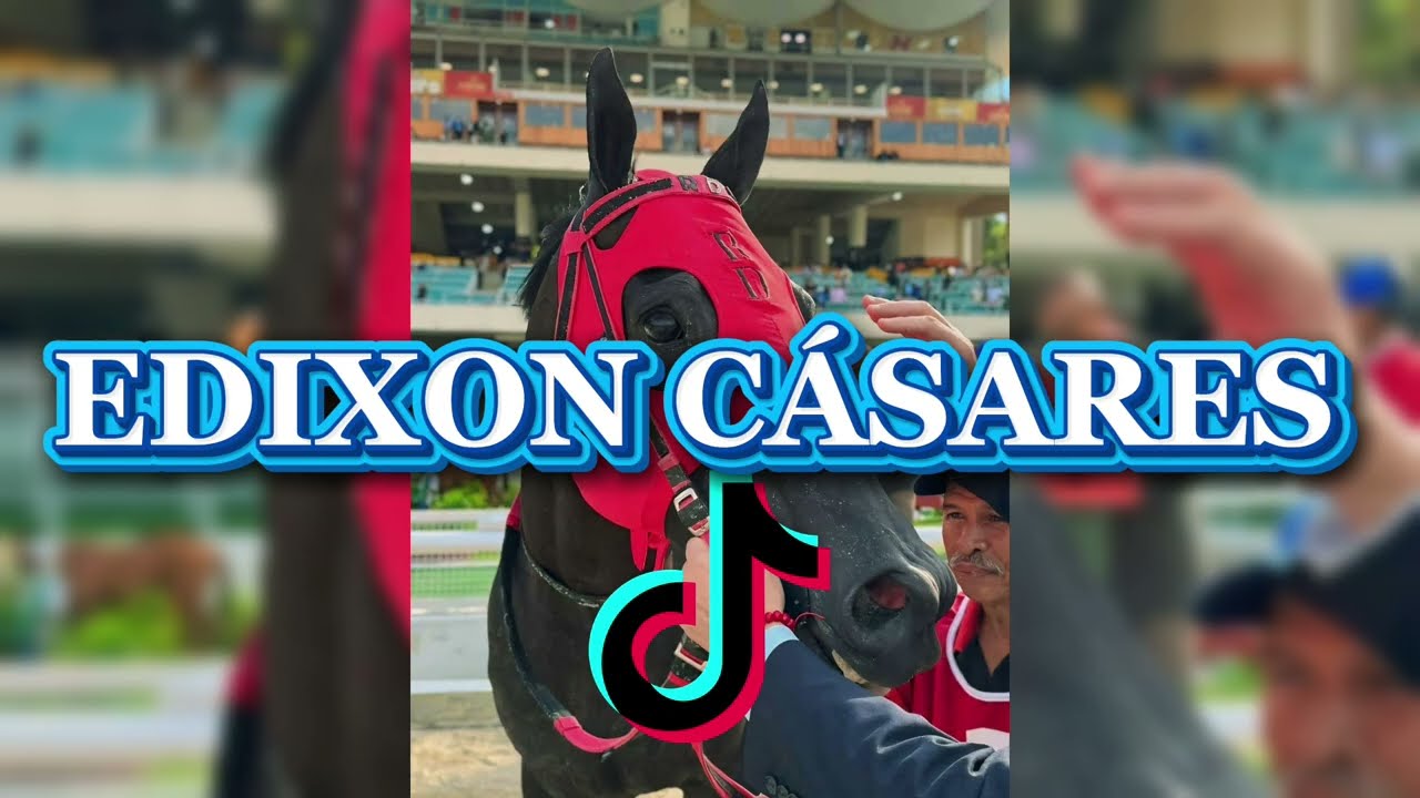 PRONÓSTICOS #LARINCONADA DOMINGO 15 DE MARZO DE 2026. MARCAS, FIJOS, INFORMACIÓN #HIPISMO 