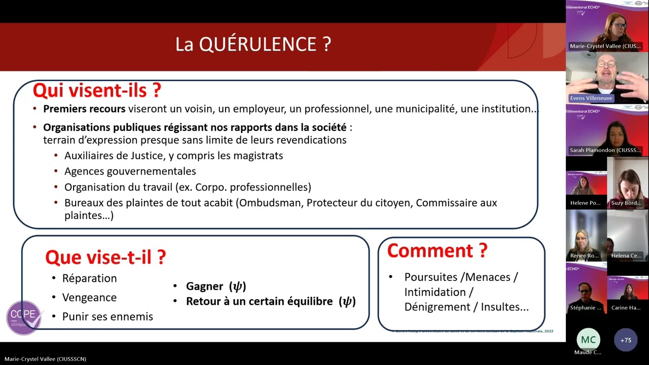 Séance COPE ECHO  21 fév2025 - Le quérulent ou l'art de refuser un refus