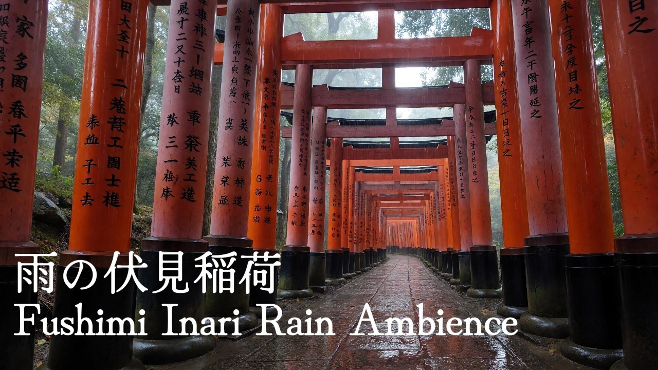【睡眠/作業用】雨の伏見稲荷 | 静かな千本鳥居の音