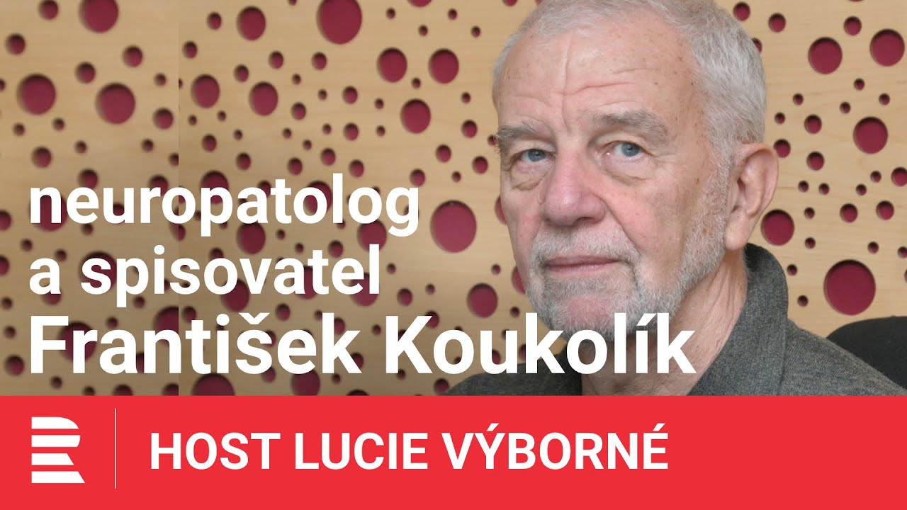 František Koukolík: Mrtvý lidský mozek je něco jako mrtvé město