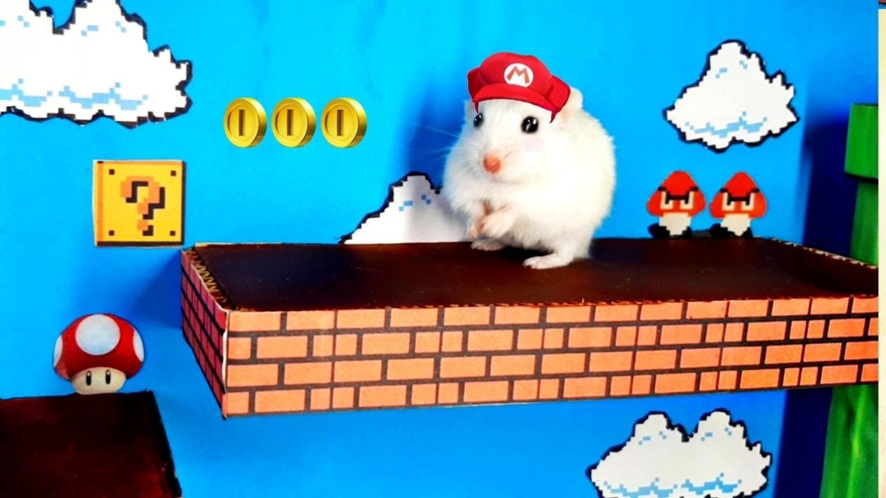 🐹 Super Mario Hamster Maze 🐹 AWESOME MAZE 🐹