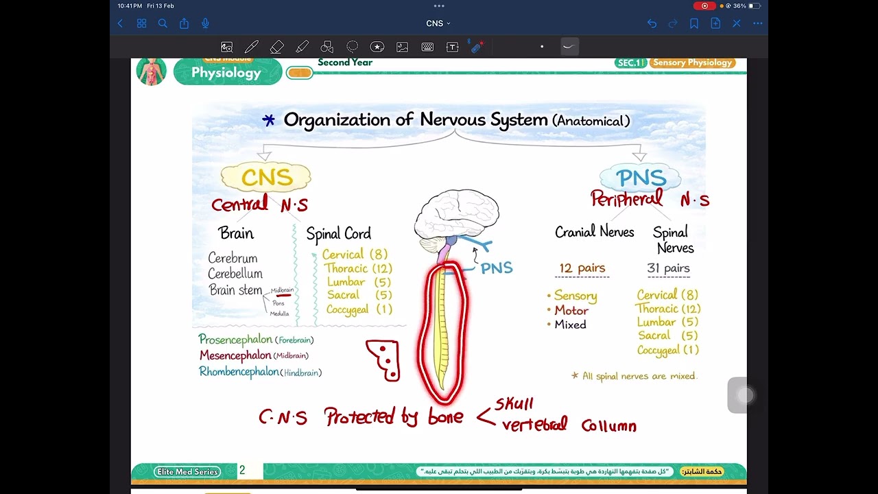 1-CNS (Introduction) 