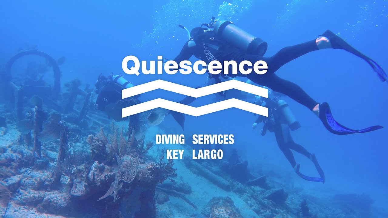 Key Largo diving with Quiescence