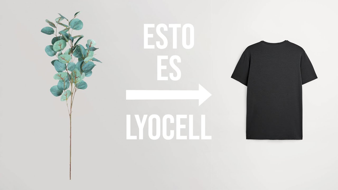 Ropa hecha de corteza de arboles   Que es lyocell - Zara Ecofriendly - Calidad vs cantidad
