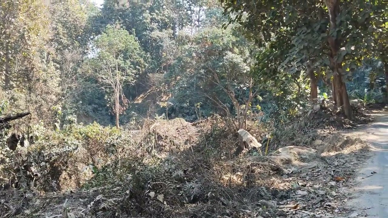 কাঞ্চন পুর যাওয়ার রাস্তা।