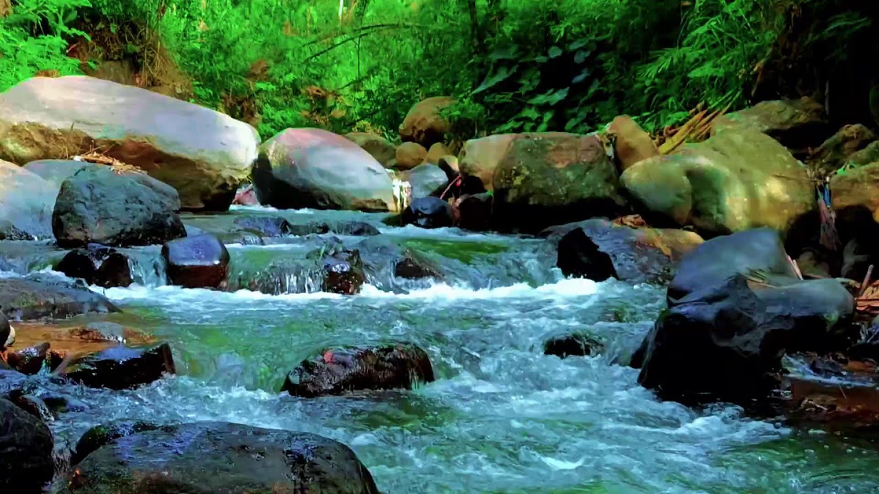 Restful Forest Nature Sounds with Gentle River Flow for Deep Sleep and Inner Calm