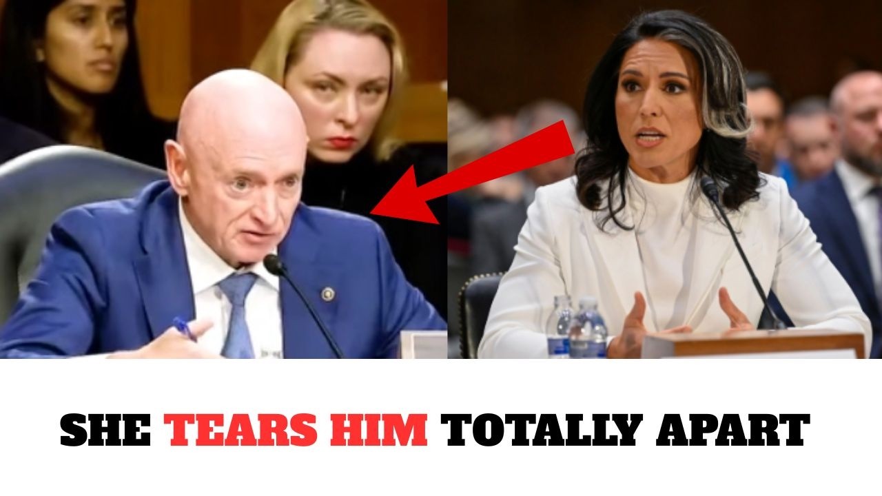 Tulsi Gabbard DESTROYS Mark Defy Orders Kelly When His Insults CROSS THE LINE
