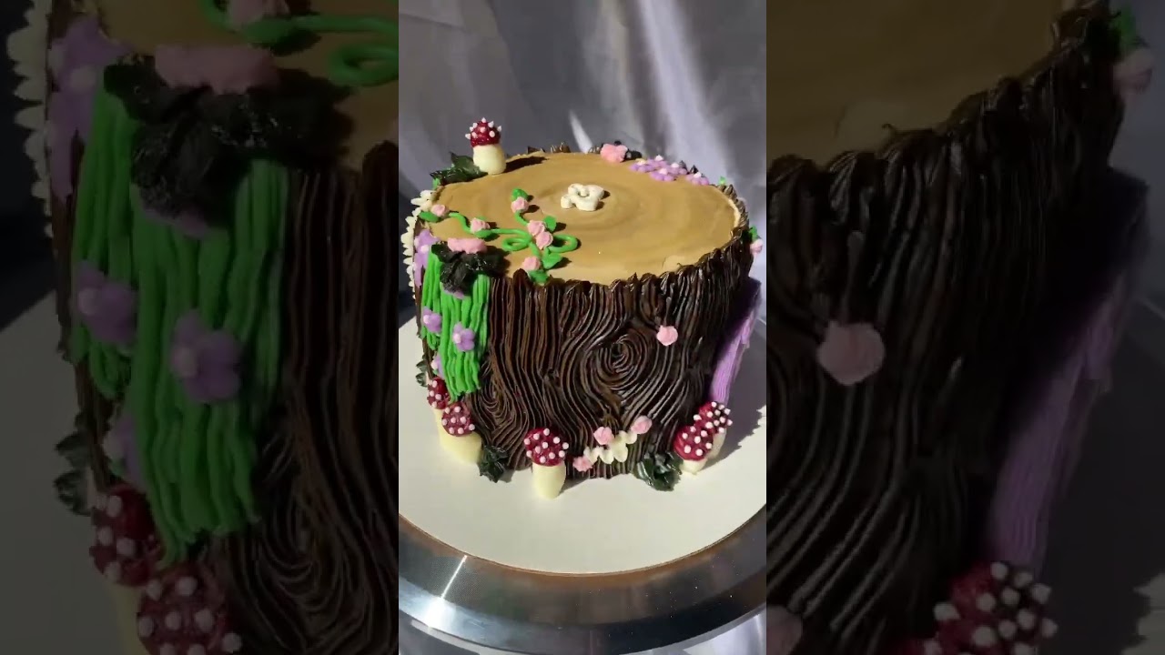 enchanted forest fairy cake ✨🧚&zwj;♀️ order on instagram @emma.cakes__ 💗