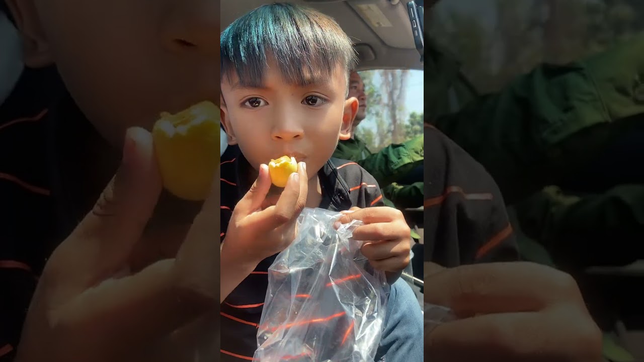ញាំគុយក្នុងឡាន