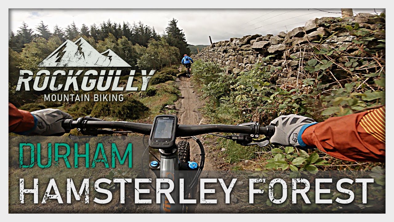 Hamsterley Forest Black Route - Trail Centre Mountain Biking 4K 2020