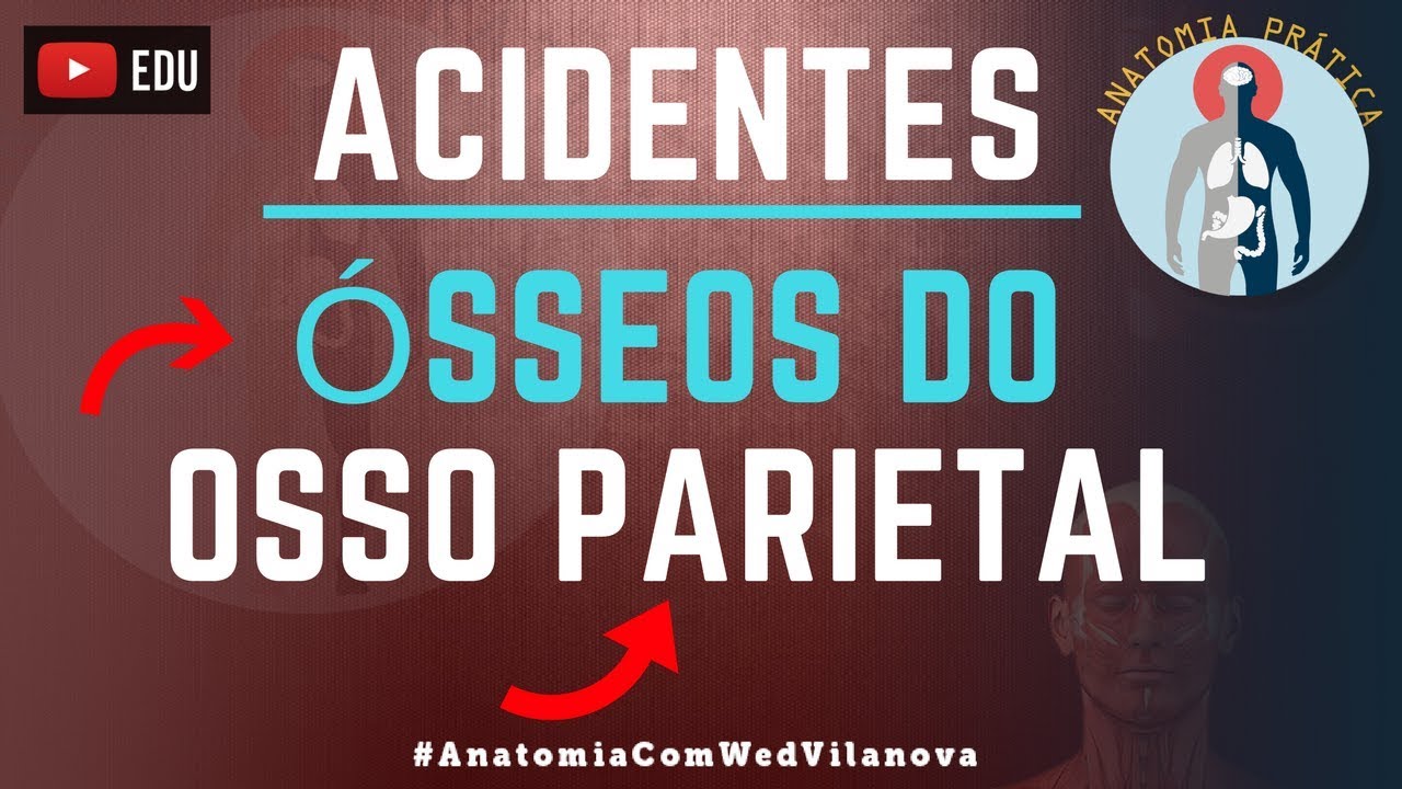 Osso Parietal ACIDENTES ÓSSEOS! Quais são❗❓DESCUBRA AQUI❗ [Anatomia Prática]