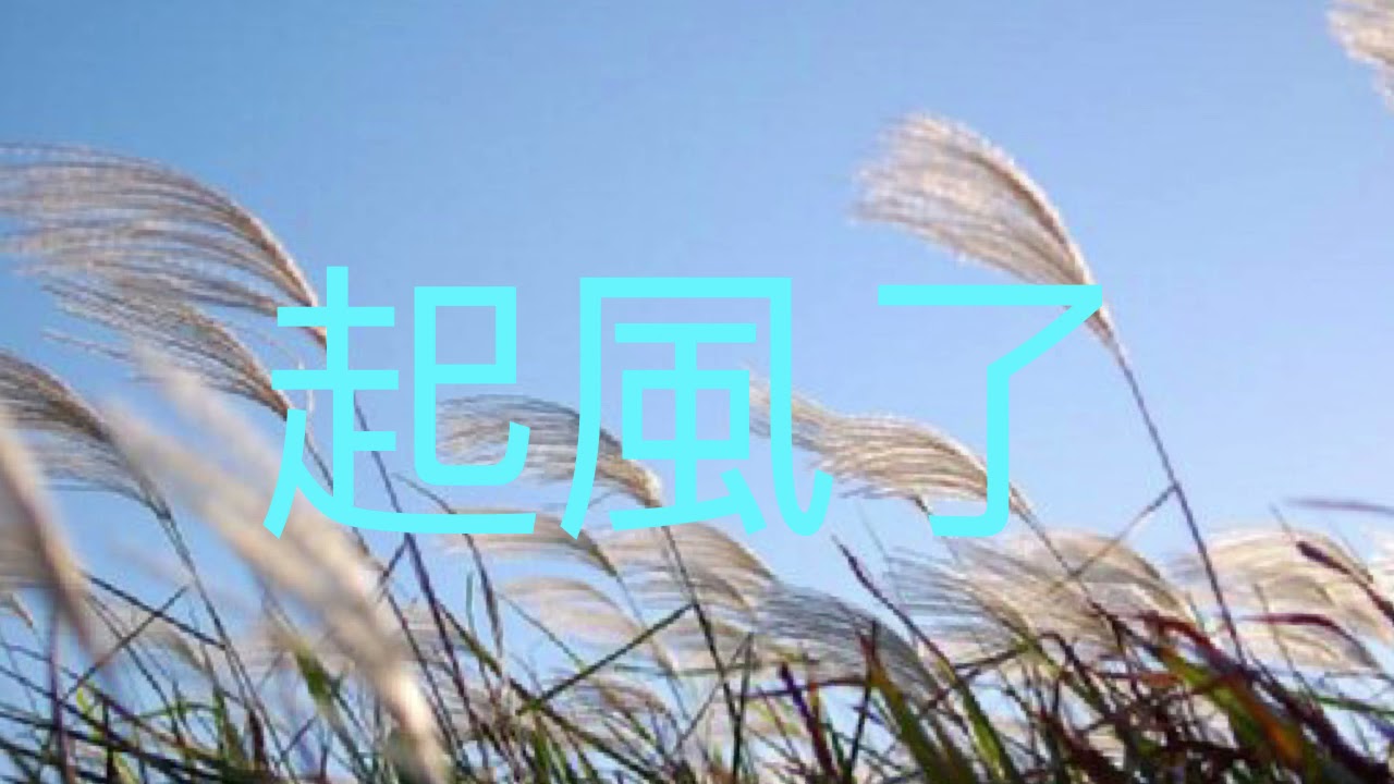 買辣椒也用券-起風了(新版伴奏)