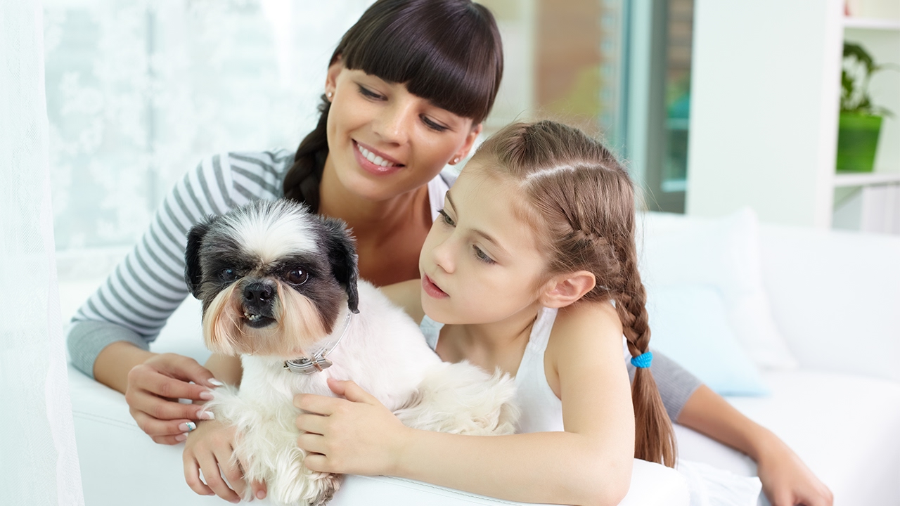 &iquest;Por qu&eacute; debes adoptar una mascota en una hora astrol&oacute;gica?