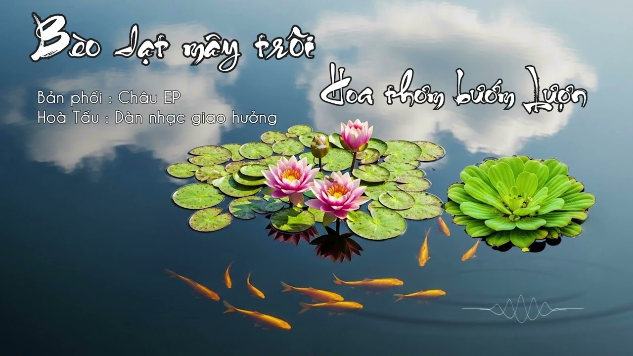 BÈO DẠT MÂY TRÔI & HOA THƠM BƯỚM LƯỢN | HOÀ TẤU KHÔNG LỜI | DÀN NHẠC GIAO HƯỞNG | GIAI ĐIỆU DÂN CA