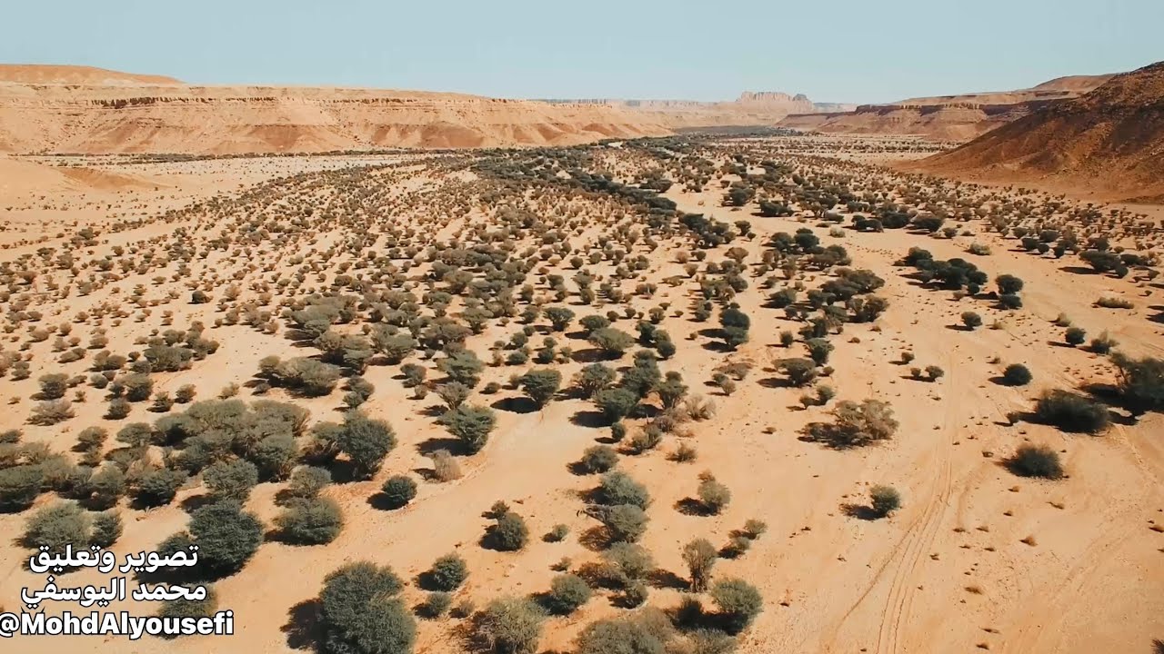 أجمل شعيب في جبال طويق متنوع في الحياة البرية حتى في الصيف - نخيلان في محمية الوعول