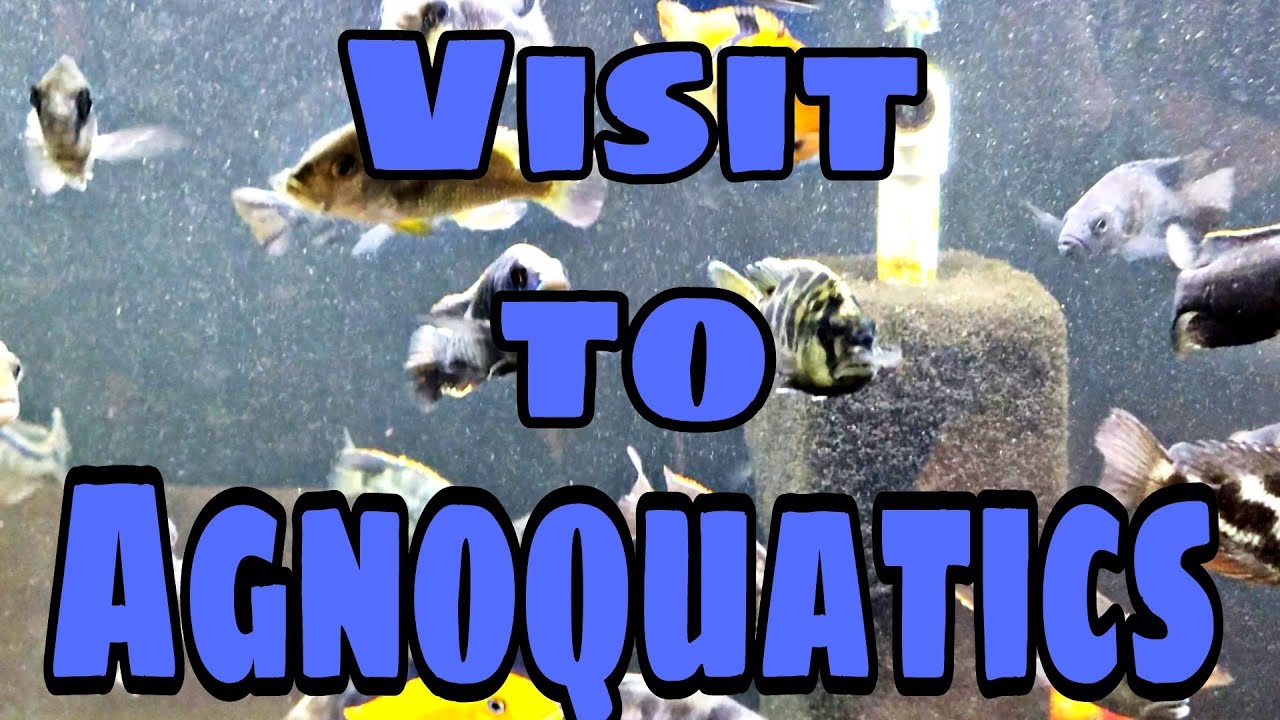 Reaper Tours Agnoquatics