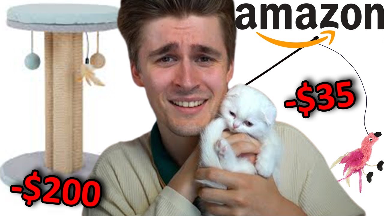 I Gave My Stream One Hour to Buy Toys for My Cat