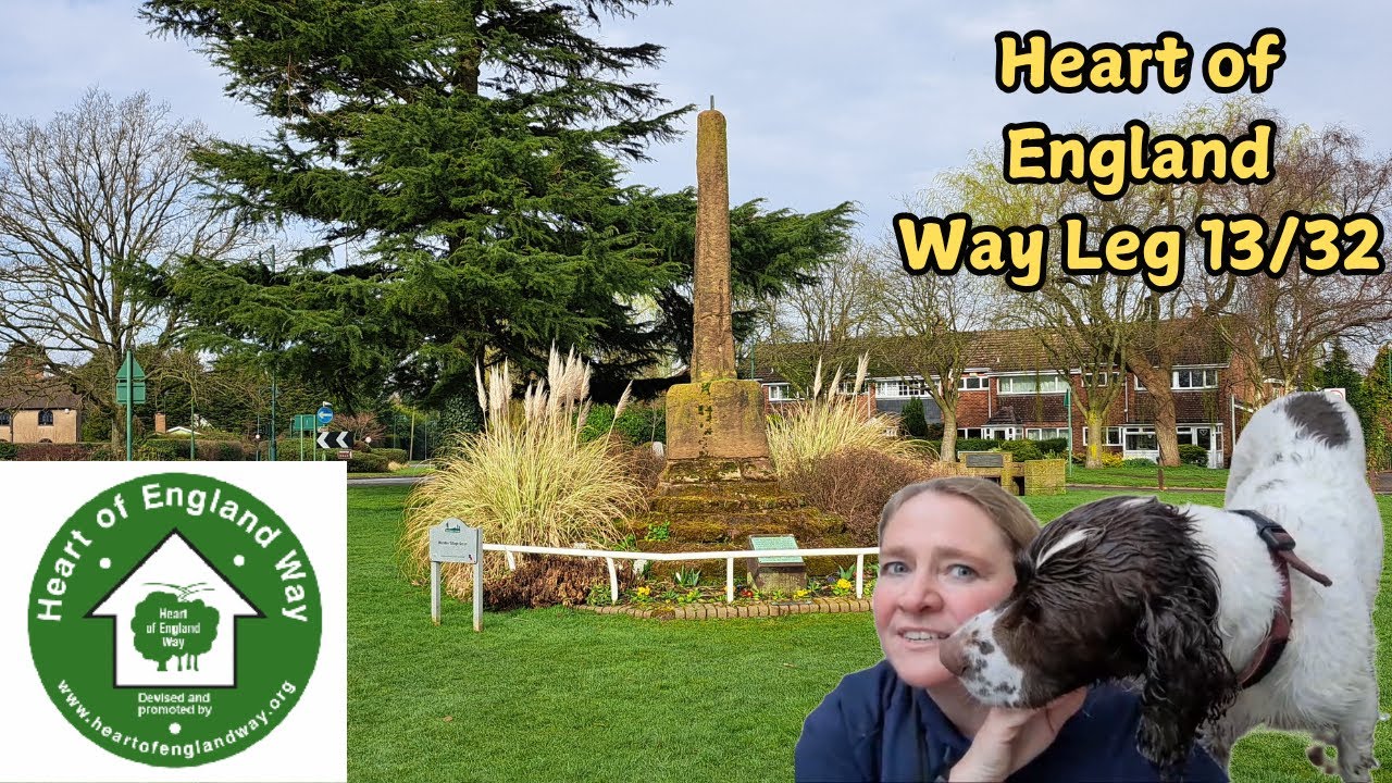 Walking the 13th leg of the Heart of England Way with my spaniels