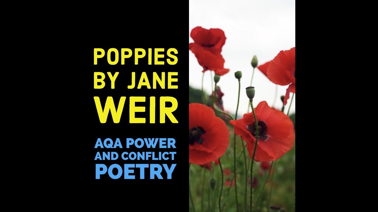 Analysis of Poppies by Jane Weir.