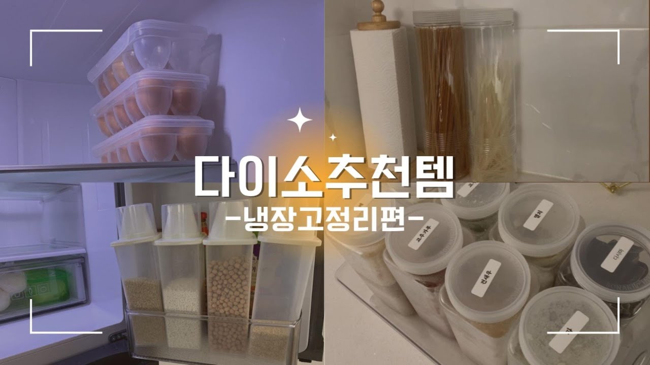 다이소 필수템으로 냉장고정리하기‼ 꿀팁🍯
