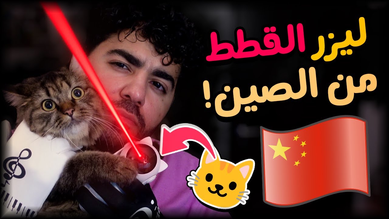 لعبة جننت قطتي من الصين 🐈😹 | #24 | سوق الصين العظيم 🇨🇳