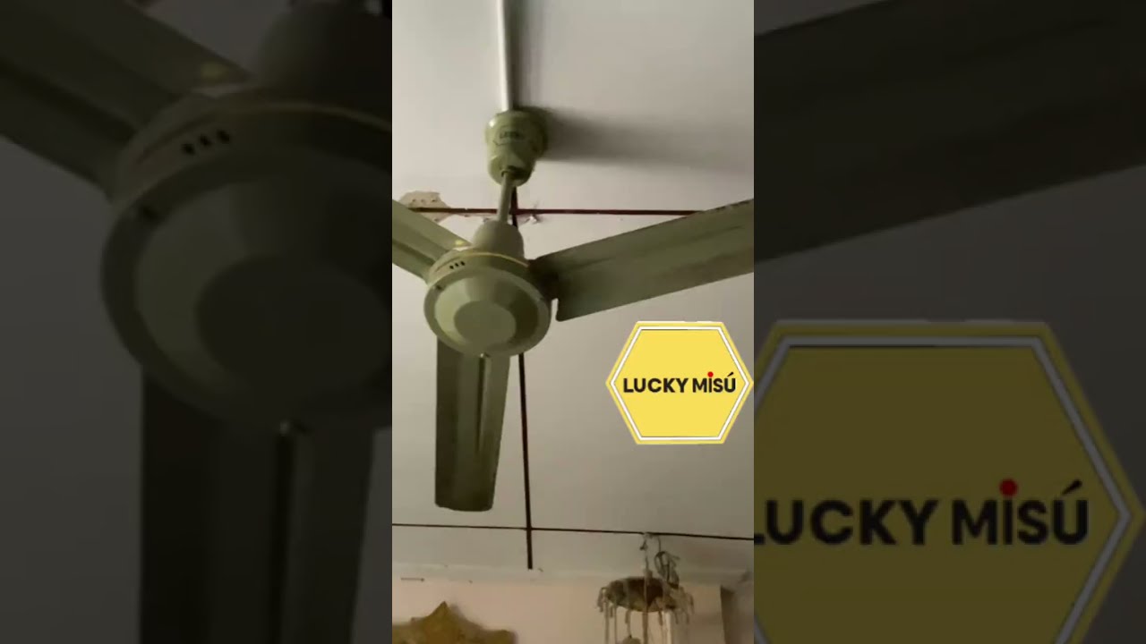 พัดลมเพดาน lucky misu 48นิ้ว รุ่นปัจจุบัน