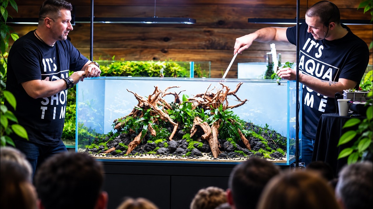 WILK I ZAJĄC w AQUASHOW!