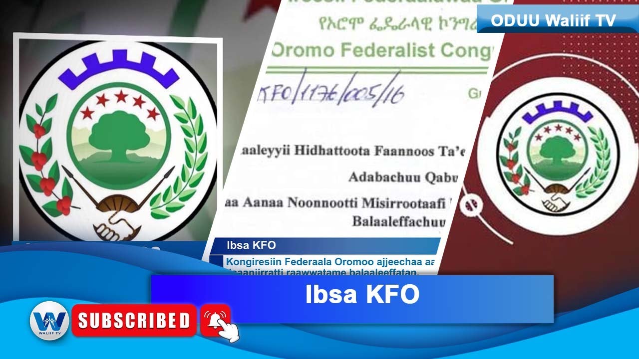 Ibsa KFO