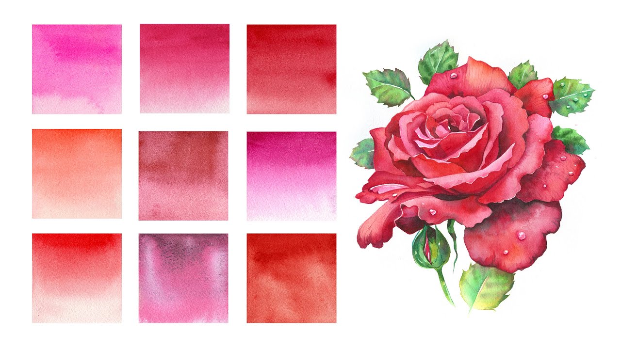 Essential Watercolor Reds ❤️ Find Your Perfect Shade!