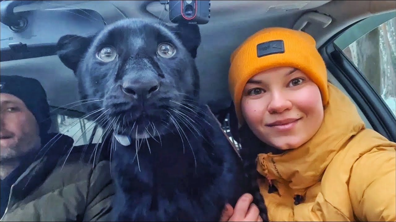 Куда нас завела Прогулка с пантерой Луной🤪🙈