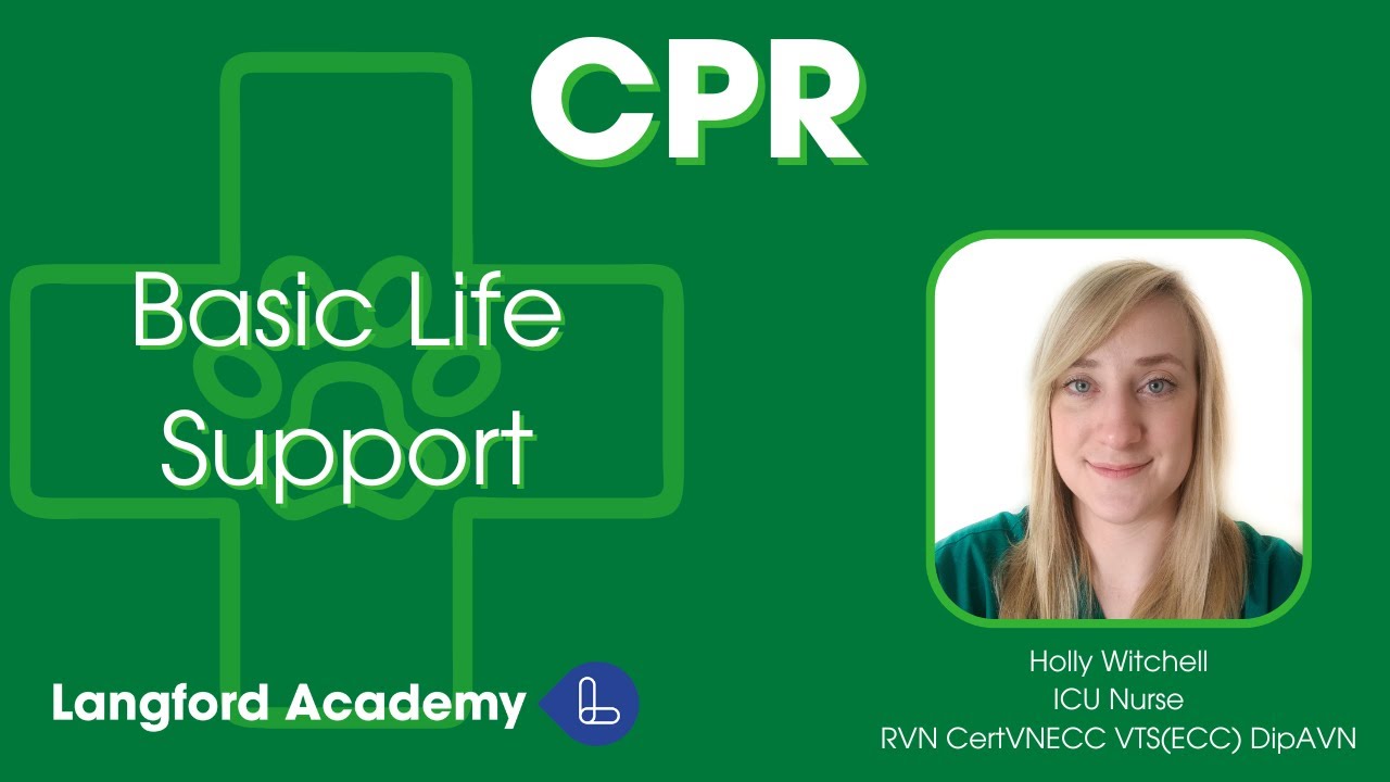 CPR Part 2: Basic Life Support