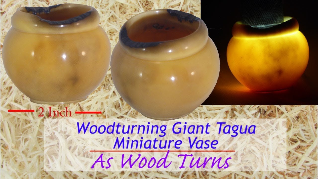 Woodturning Giant Tagua Miniature Vase