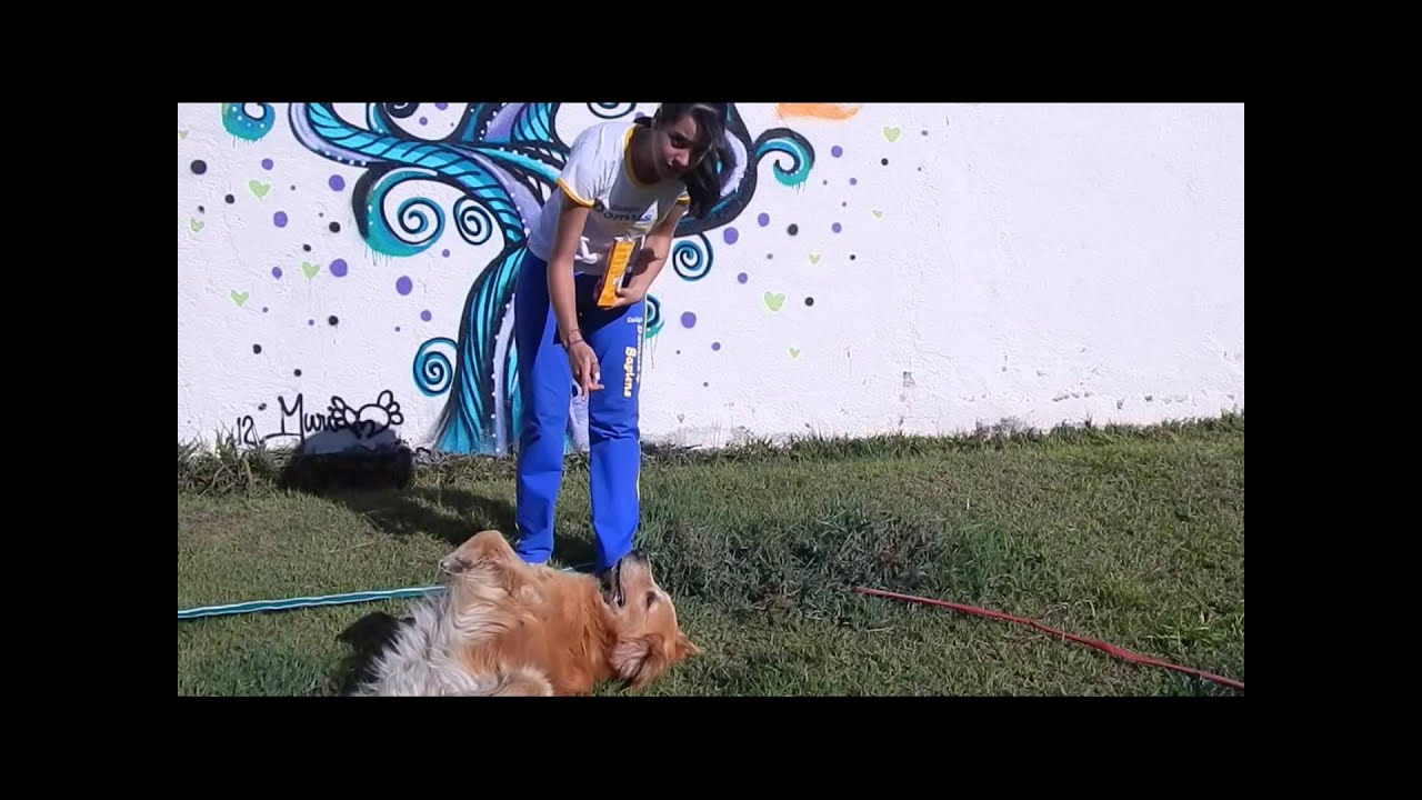 Espanhol