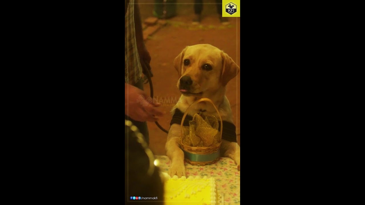 777 Charlie Deleted Scene💖| Rakshit Shetty, Adrika | Dog Charlie | #WhatsappStatus #YoutubeShorts