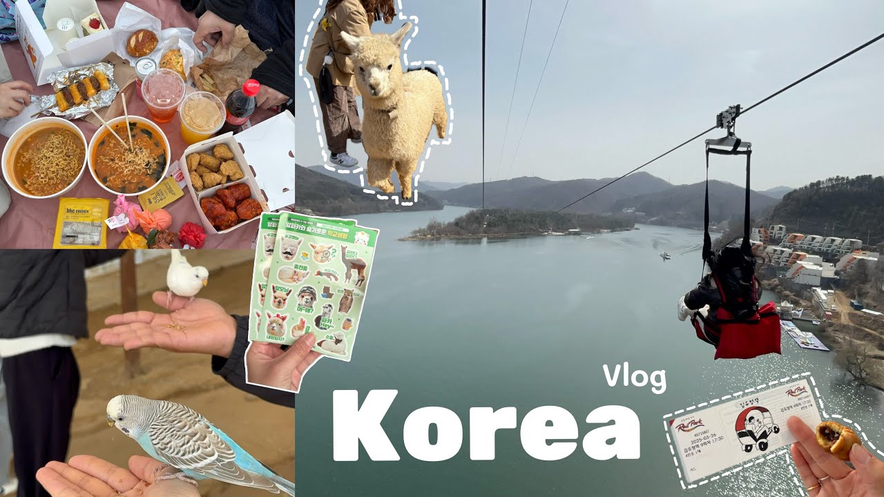 Goodbye Korea 😭 Han River Picnic, Alpacas, Nami Island Zipline & Rail Bike! 