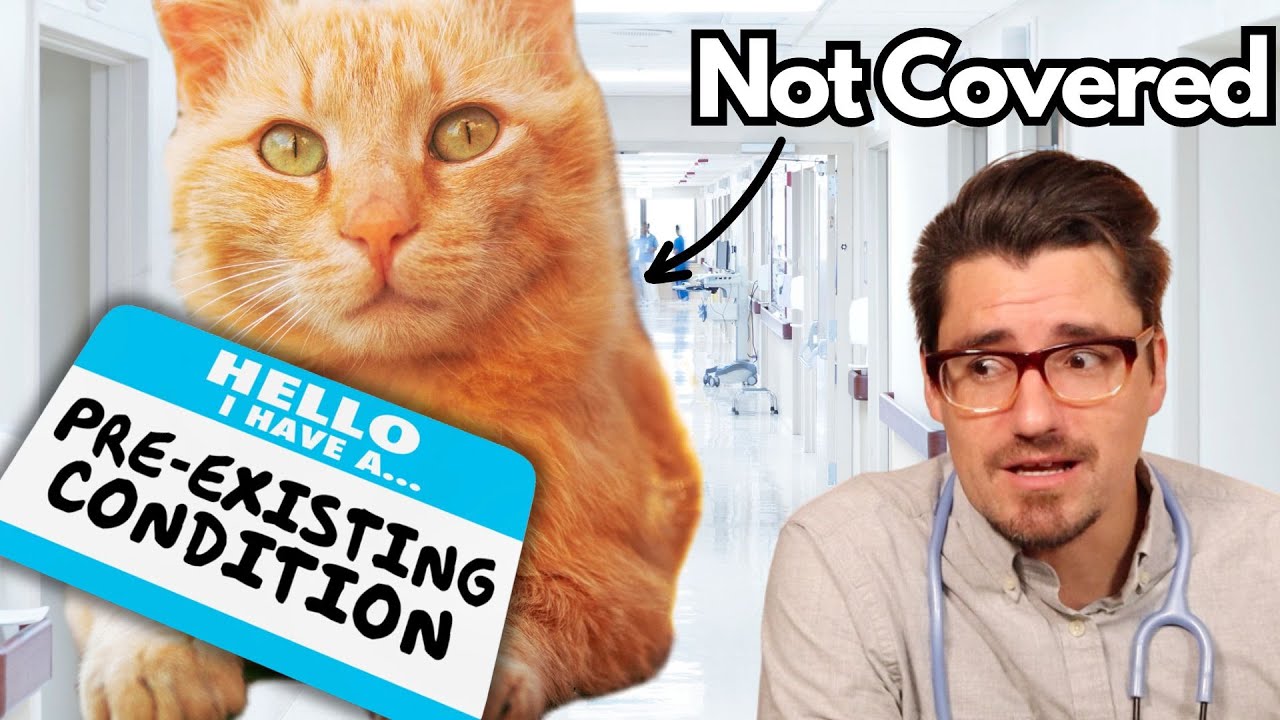 Preexisting Condition? should you get Pet Insurance?