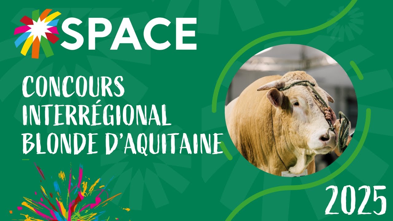 Concours Interrégional Blonde d’Aquitaine