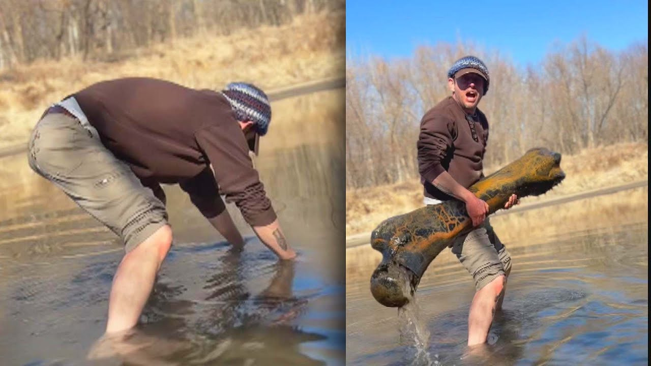 Missouri Man Discovers Mammoth Bone In River