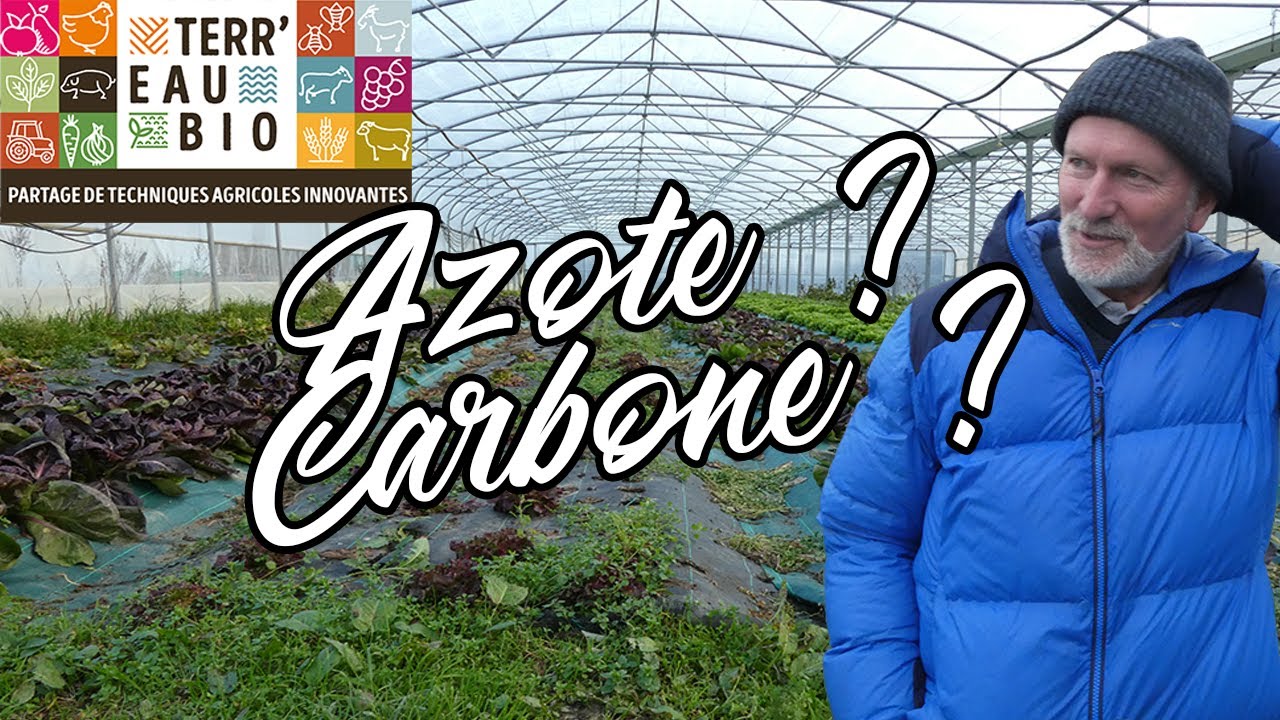 Terr'eau Bio - Faim d'azote ou faim de carbone ? Le facteur limitant n'est pas celui qu'on croit