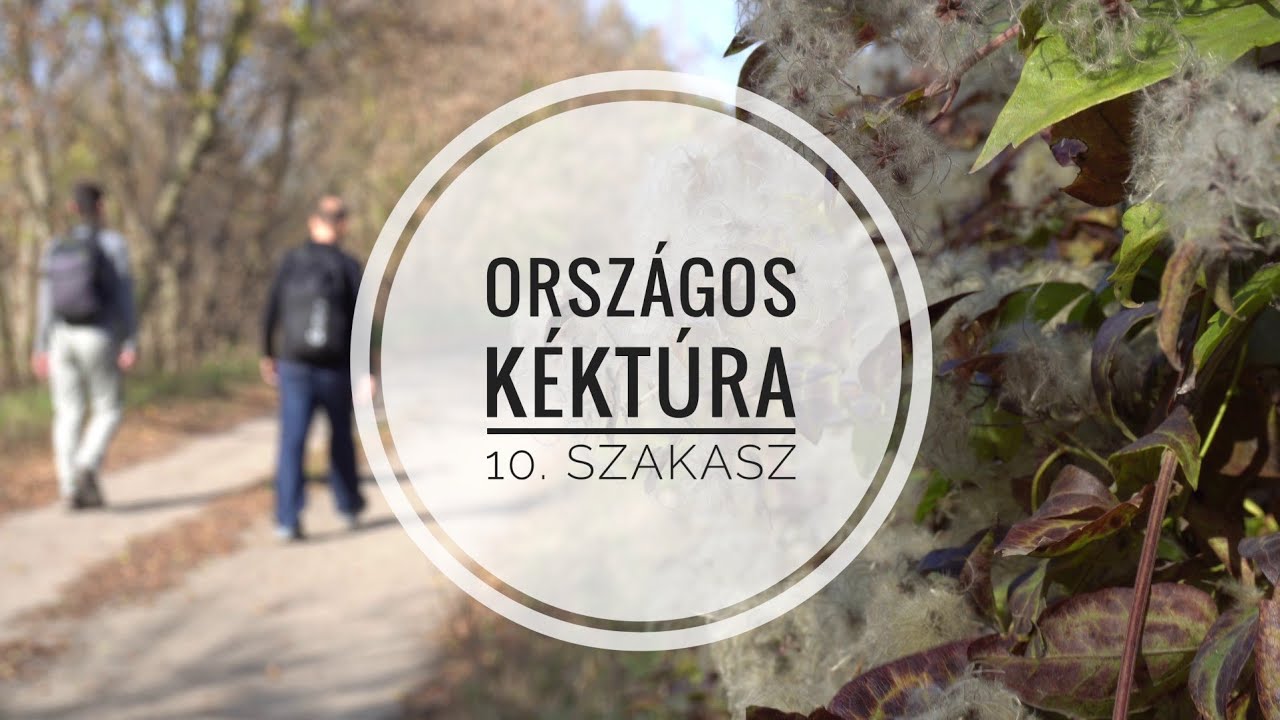 LÁNGOLÓ TALPAK Országos Kéktúra 10. szakasz Bodajk- Gánt