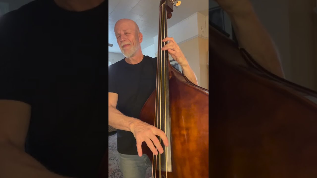 Aquila GoldSprings Upright Bass Strings