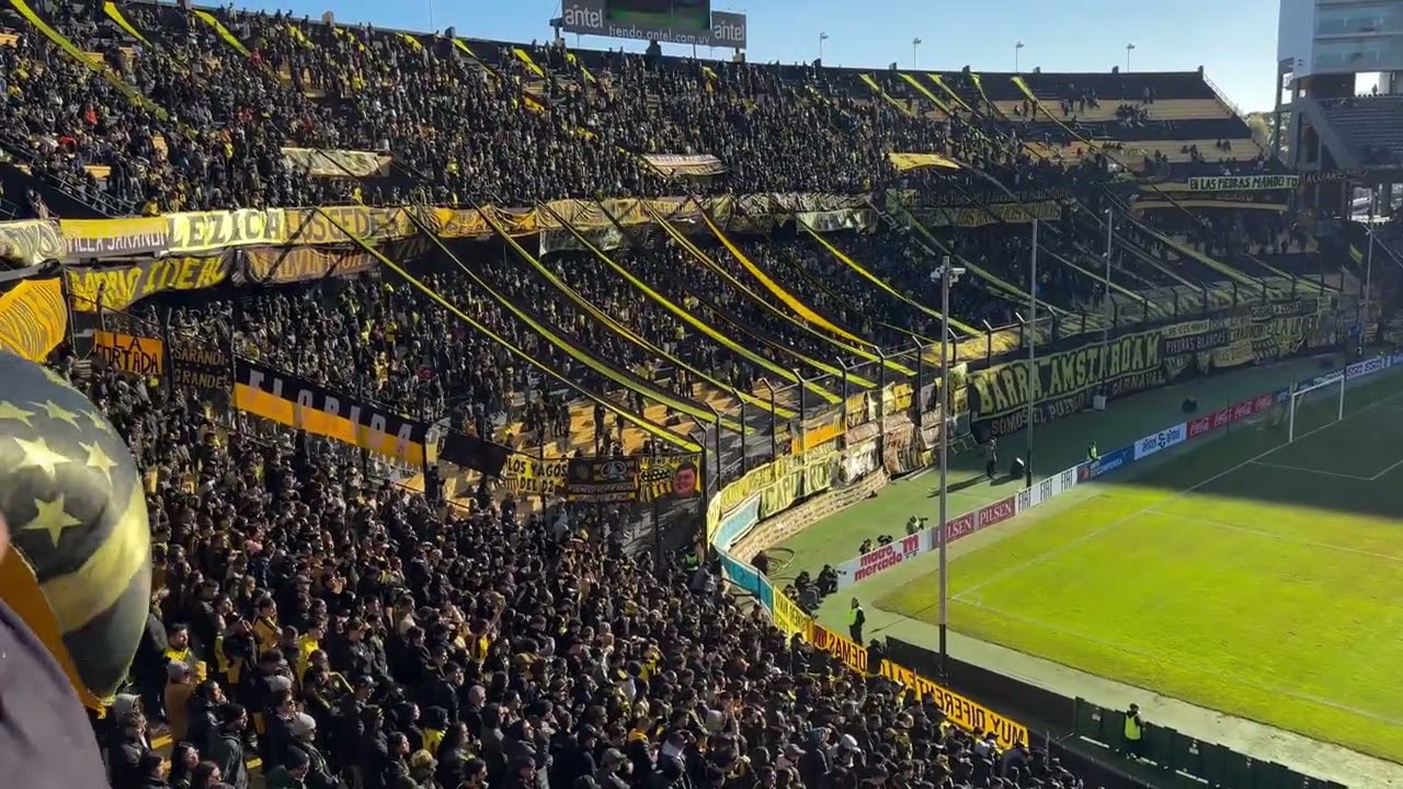 Hinchada De Peñarol vs Cerro Mugriento / Intermedio 2025 / Campeón Del Siglo